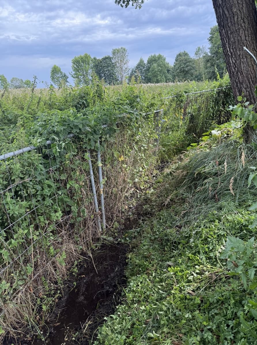 Feldrand unter dem Baum freigeschnitten: Zustand nach der Arbeit
