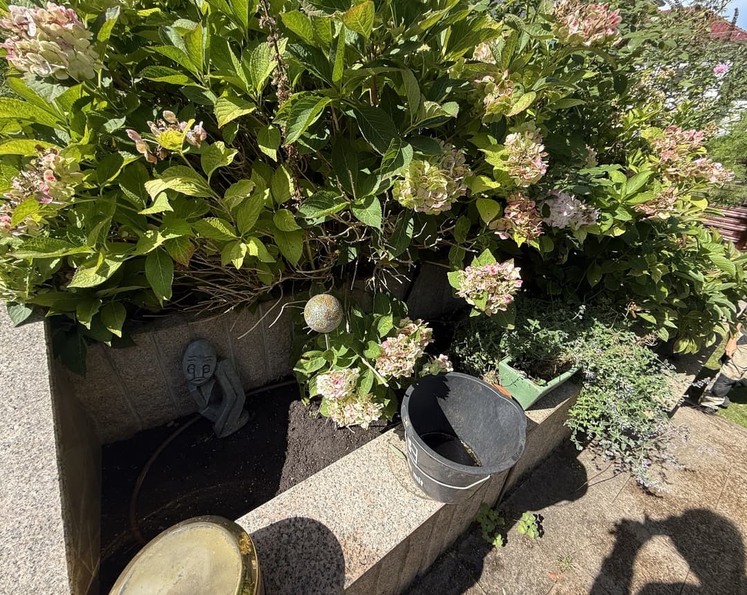Hortensienbeet an der Treppe gepflegt: Zustand nach der Arbeit